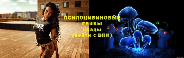 тгк Аркадак