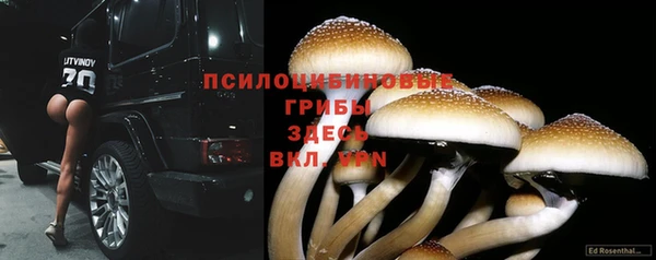 МДПВ Покров