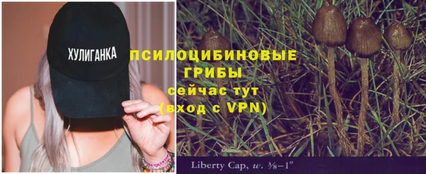 твердый Белоозёрский