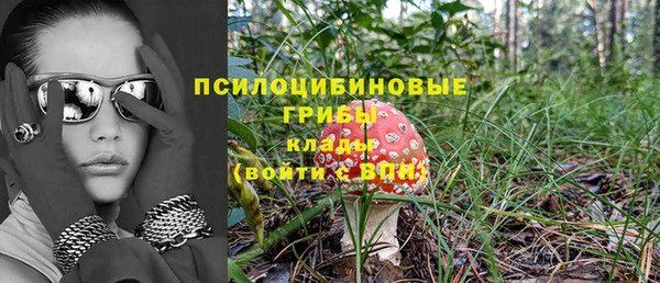 2c-b Беломорск